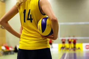 Jak wybrać piłkochwyty do hali sportowej